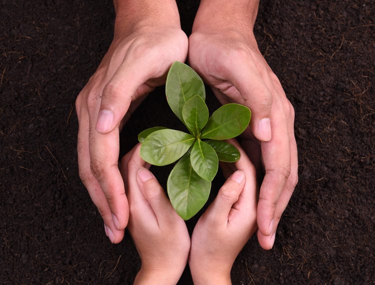 project-sustainable project-sustainable